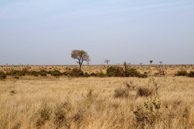 view60P9178895.jpg