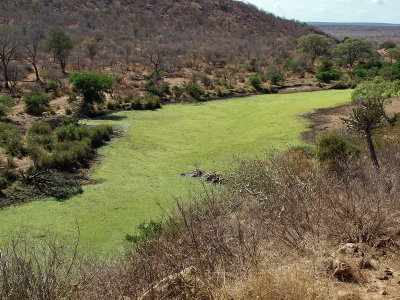 view61P9199057.jpg