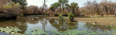 1600lakepanicP9178827_stitch.jpg