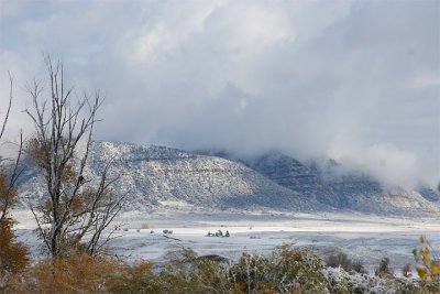 snowscape from deck 1.jpg