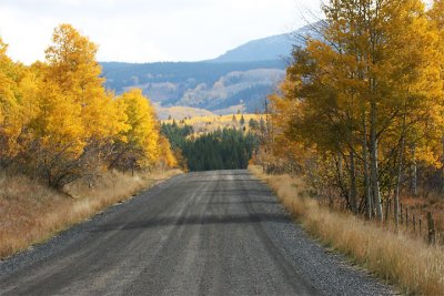 fall road scene.jpg