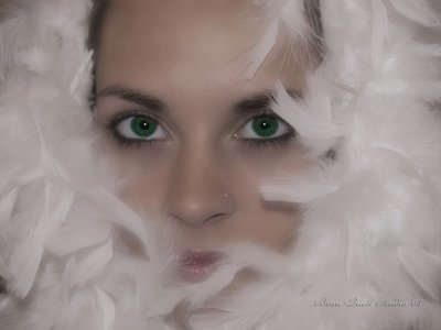 Swan Lake?