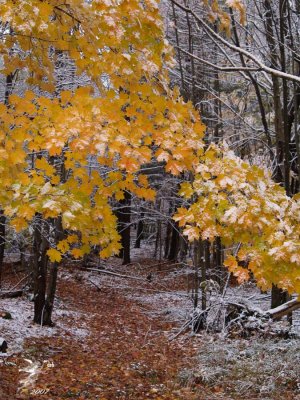 The Path from Fall to Winter