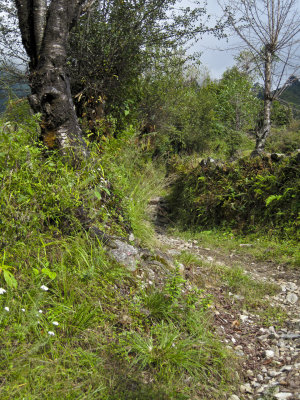 g3/30/776630/3/120247436.kmcMRBjc.jpg