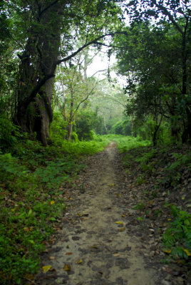 Chitwan Nat'l Park