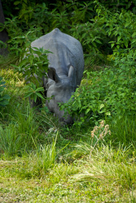 Chitwan Nat'l Park