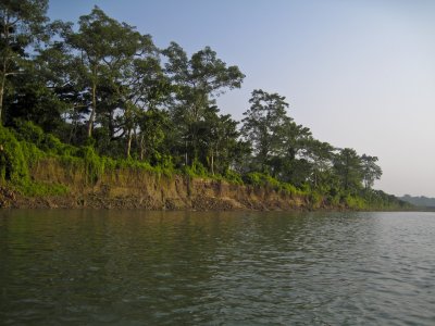 Chitwan Nat'l Park