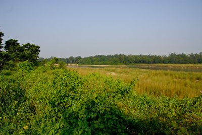 Chitwan Nat'l Park