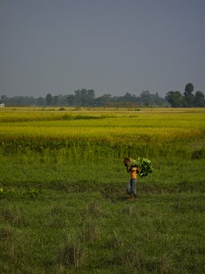 Chitwan Nat'l Park