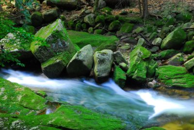 river with green moss stones in Szklarska Poreba