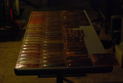 DSC_9831.JPG