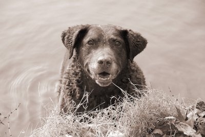 My Brown Girl