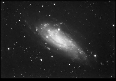 NGC 4559