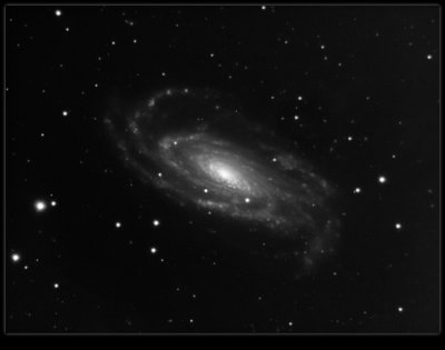NGC 5033 Galaxy