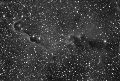 vdB 142 Elephant Trunk Nebula