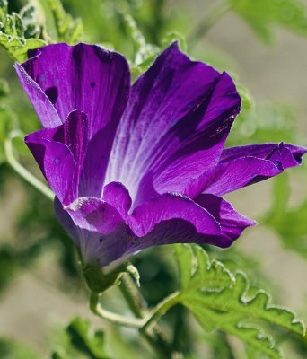 IMG_1644.jpg
