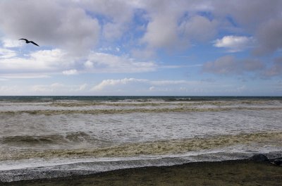 Between Storms