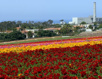 Untitled_Panorama6.jpg