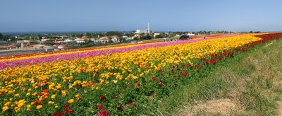 Untitled_Panorama2.jpg