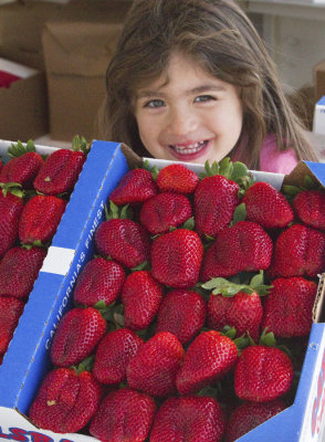 The Girl with a Strawberry Mouth