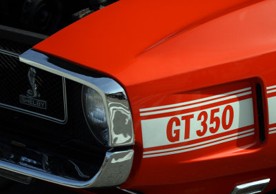 Shelby GT 350  IMG_4854.jpg
