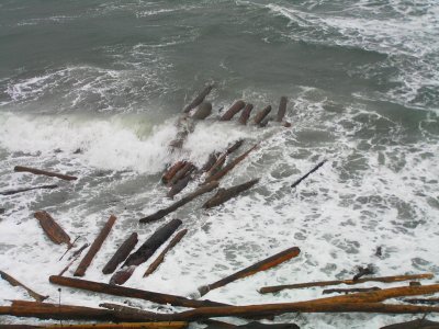 Logs crash on Cattle Point, Southern tip of the Island