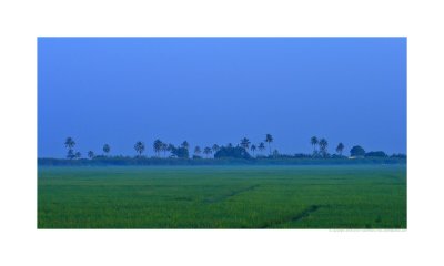 kerala