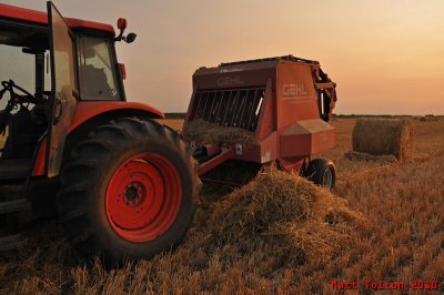 Evening Baler Digout