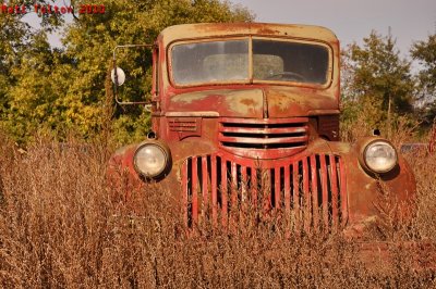 Chevy in the Weeds
