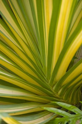 Ho'omaluhia Botanical Gardens