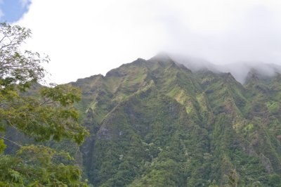 Ho'omaluhia Botanical Gardens