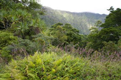 Ho'omaluhia Botanical Gardens