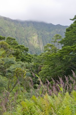 Ho'omaluhia Botanical Gardens