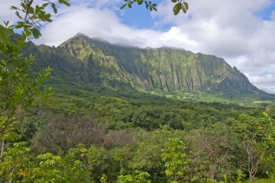 Ho'omaluhia Botanical Gardens