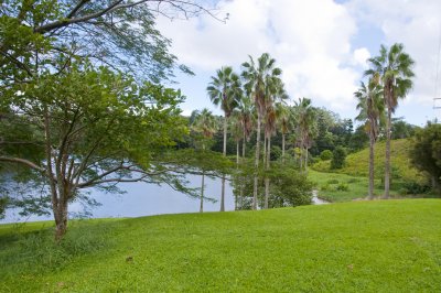 Ho'omaluhia Botanical Gardens