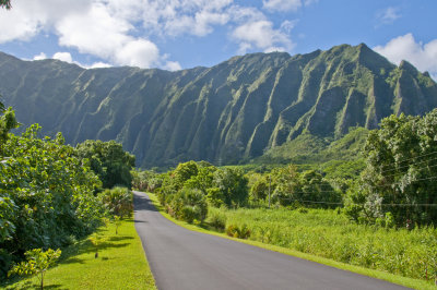 Ho'omaluhia Botanical Gardens