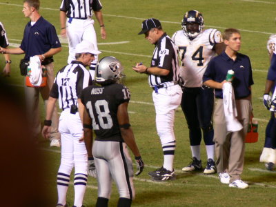 06-SD253.JPG