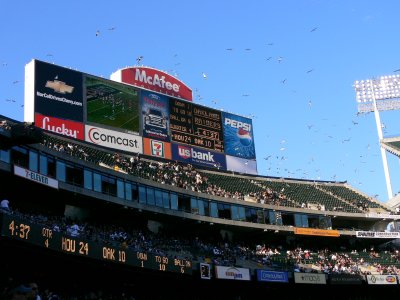 07-HOU-200.JPG
