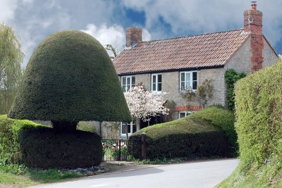 country cottage Dorset