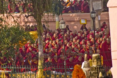 Monks through the trees
