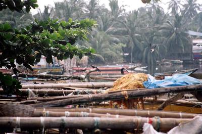 Boats in Negombo harbor