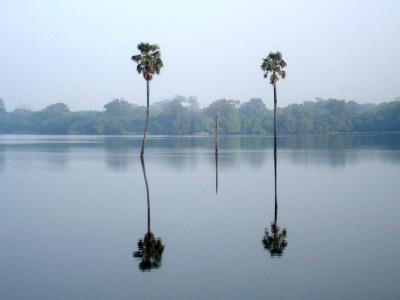 they call this lake the tank for some reason. Liked these trees
