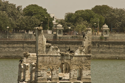 Ruins and birds