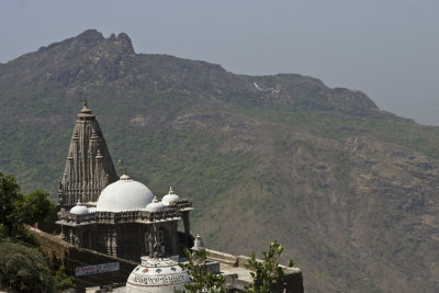 Jain temples, from a distance