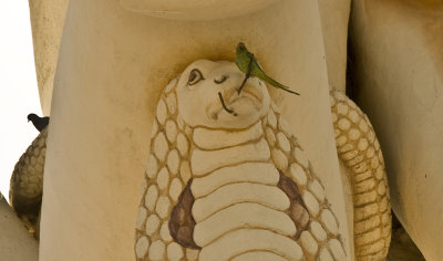 A parrot on on the tongue of the snake around Shiva's neck