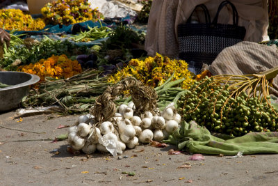 Garlic cluster