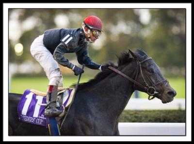 breeders_cup_2005