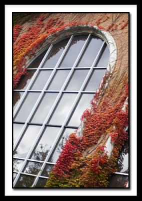 D_0154-Turning Season Belmont.jpg