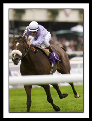 B_MAJORS CAST, Lanfranco Dettori, Mile_DSC0025EDIT.jpg