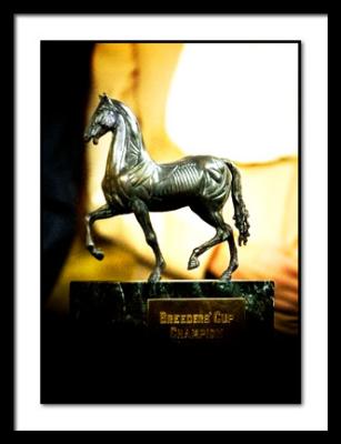 B_Trophy_DSC_2435EDIT.jpg